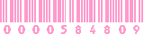 アクセスカウンター
