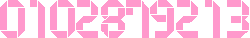 アクセスカウンター