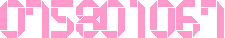 アクセスカウンター