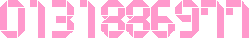 アクセスカウンター