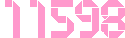 アクセスカウンター
